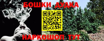 a pvp Новокубанск