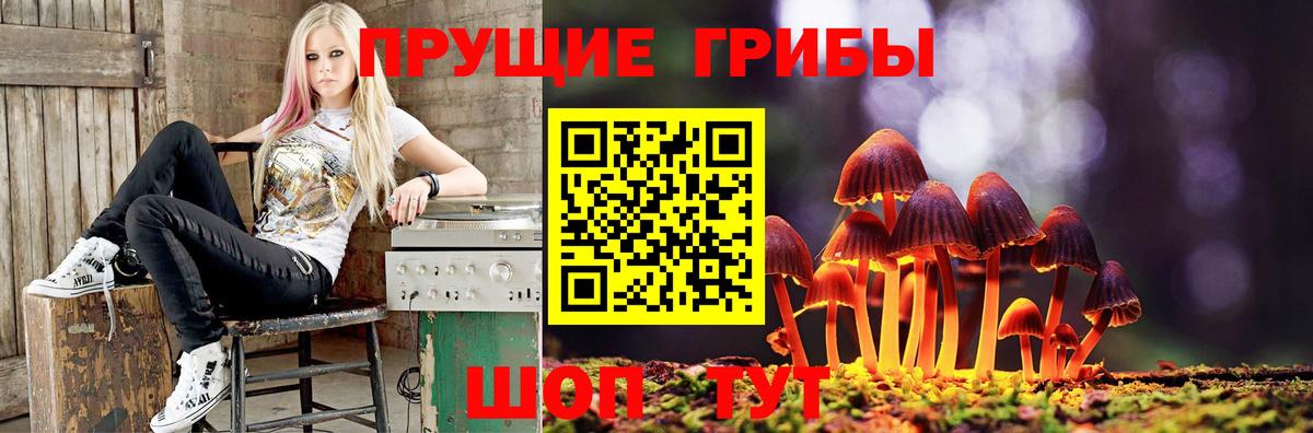 Тула  Галлюциногенные грибы мухоморы  Вход с VPN 